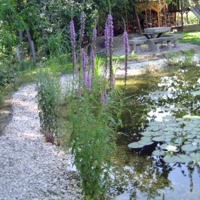 Teich15